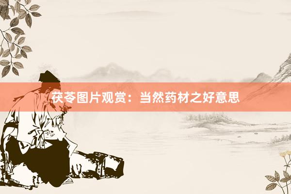 茯苓图片观赏：当然药材之好意思
